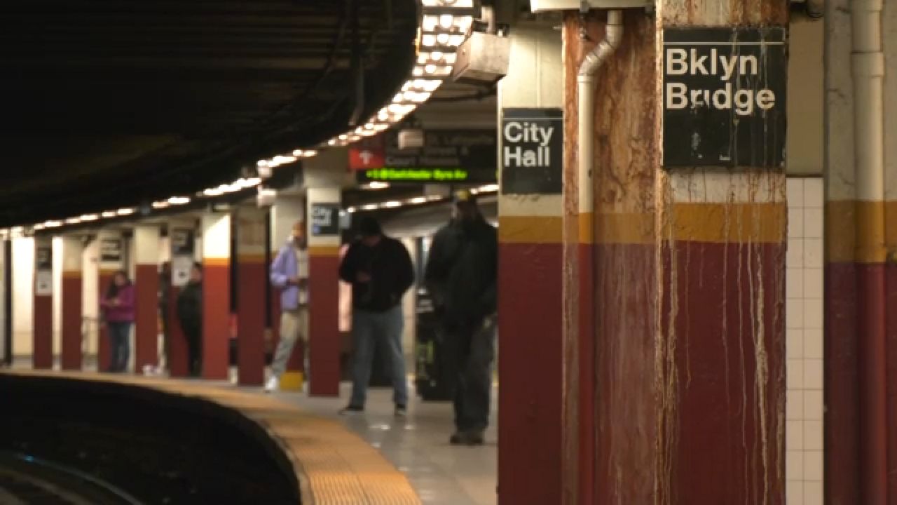 plataforma metropolitana